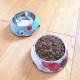 Pet stainless steel cartoon food bowl non-slip and easy to clean, universal for cats and dogs Pet stainless steel cartoon food bowl non-slip and easy to clean, universal for cats and dogs