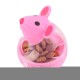 Pet Toy Dog Fun Tumbler Leaking Ball Bite-resistant Going Out Portable Pet Toy Pet Toy Dog Fun Tumbler Leaking Ball Bite-resistant Going Out Portable Pet Toy