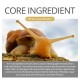 Vibrant Glamour Snail Snail Swine Water Moisturizing Repair Nutrition Cream. Brightening Skin Color Vibrant Glamour Snail Snail Swine Water Moisturizing Repair Nutrition Cream. Brightening Skin Color